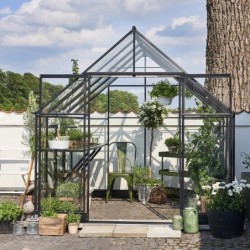 Halls Serre de jardin en verre Noir 6.6m²