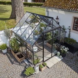 Halls Serre de jardin en verre Noir 6.6m²
