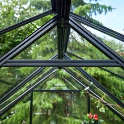 Halls Serre de jardin en verre Noir 6.6m²