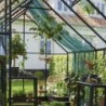 Halls Serre de jardin en verre Noir 9.9m²