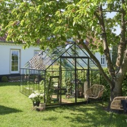 Halls Serre de jardin en verre Noir 9.9m²