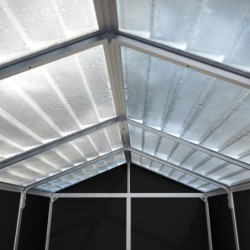 Canopia by Palram Abri de jardin résine Polycarbonate Gris 2.80m²