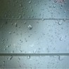 Canopia by Palram Abri de jardin résine Polycarbonate Gris 4.2m²