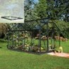 Halls Serre de jardin en verre Noir 6.2m²