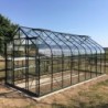 Lams Serre de jardin en verre Vert 12.9m²