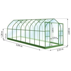 Lams Serre de jardin en verre Vert 12.9m²