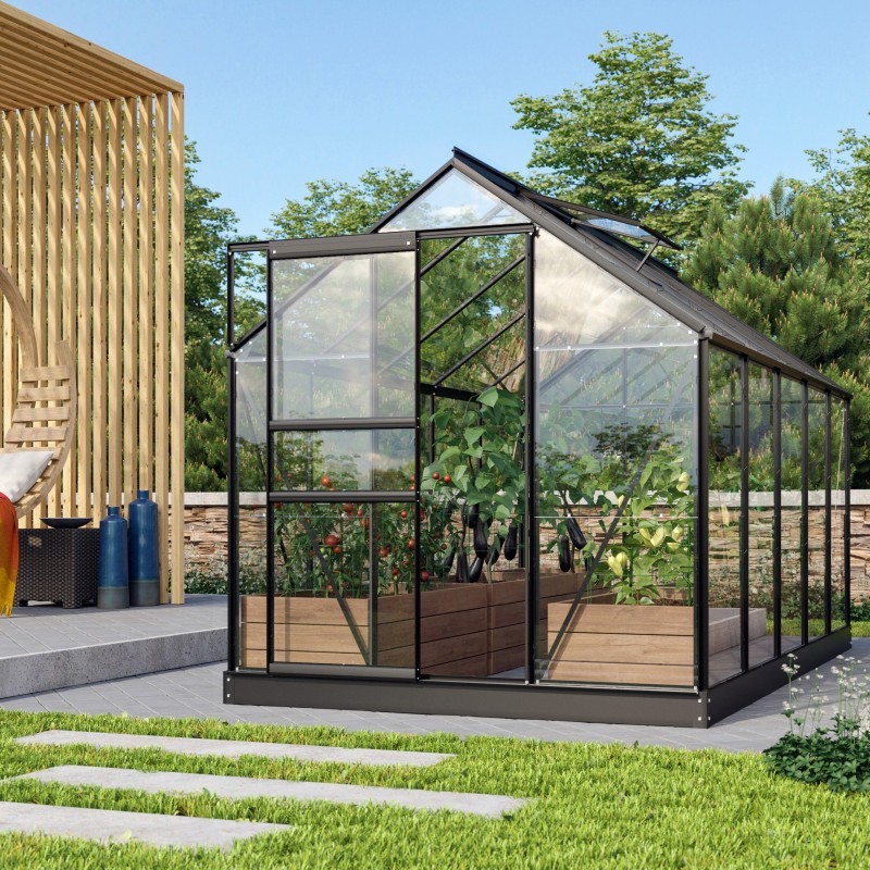 Vitavia Serre de jardin en verre Noir 6,2m²