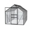 Vitavia Serre de jardin en verre Noir 6,2m²