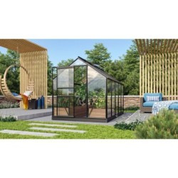 Vitavia Serre de jardin en verre Noir 6,2m²