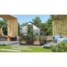 Vitavia Serre de jardin en verre Noir 6,2m²
