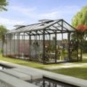 Vitavia Serre de jardin en verre Noir 15,7m²