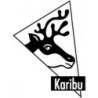 Karibu Sauna traditionnel Bois massif Bois naturel