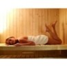 Karibu Sauna prêt à brancher Bois massif Bois naturel