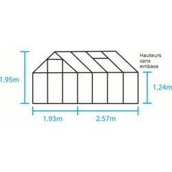 Halls Serre de jardin en verre Noir 5m²