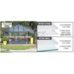 Lams Serre de jardin en verre Gris 21.3m²