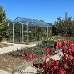 Lams Serre de jardin en verre Gris 12.9m²