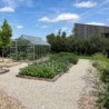Lams Serre de jardin en verre Gris 12.9m²