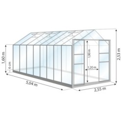 Lams Serre de jardin en verre Vert 12.9m²