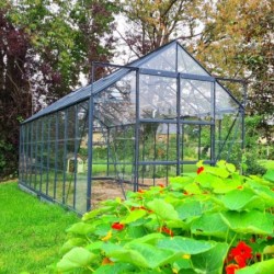Lams Serre de jardin en verre Vert 12.9m²