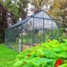 Lams Serre de jardin en verre Vert 12.9m²