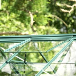 Lams Serre de jardin en verre Vert 12.9m²