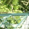 Lams Serre de jardin en verre Vert 12.9m²