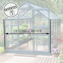 Lams Serre de jardin en verre Vert 12.9m²