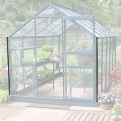 Lams Serre de jardin en verre Vert 12.9m²