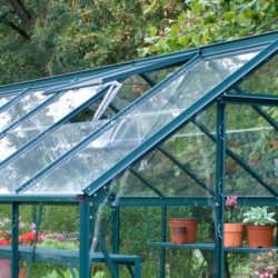 Lams Serre de jardin en verre Vert 12.9m²