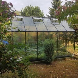 Lams Serre de jardin en verre Gris 12.9m²