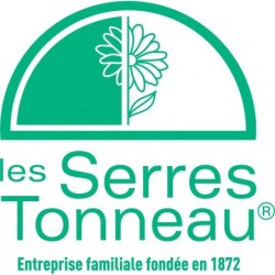 Serres Tonneau Serre tunnel Transparent 6.5m²