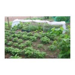Serres Tonneau Serre tunnel Transparent 6.5m²