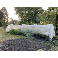 Serres Tonneau Serre tunnel Transparent 9,75m²