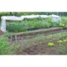 Serres Tonneau Serre tunnel Transparent 9,75m²