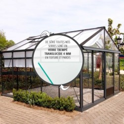 Lams Serre de jardin en verre Au choix 9.6m²
