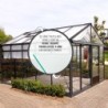 Lams Serre de jardin en verre Au choix 9.6m²