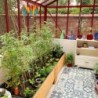 Lams Serre de jardin en verre Au choix 7.3m²