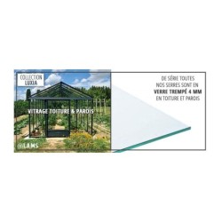 Lams Serre de jardin en verre Gris 7.2m²