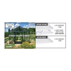 Lams Serre de jardin en verre Gris 7.2m²