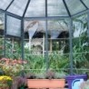 Canopia by Palram Serre de jardin en polycarbonate Gris 5,26m²