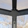 Canopia by Palram Serre de jardin en polycarbonate Gris 8,6m²