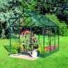 Halls Serre de jardin en verre Vert 3.8m²