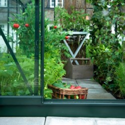Halls Serre de jardin en verre Vert 3.8m²