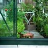Halls Serre de jardin en verre Vert 3.8m²