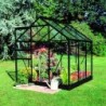 Halls Serre de jardin en verre Noir 3.8m²