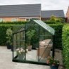 Halls Serre de jardin en verre Vert 5m²
