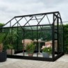 Halls Serre de jardin en verre Noir 5m²