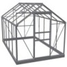 Halls Serre de jardin en verre Noir 6.2m²
