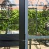 Juliana Serre de jardin en verre Noir 25.6m²