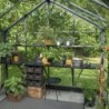 Juliana Serre de jardin en verre Noir 21.5m²